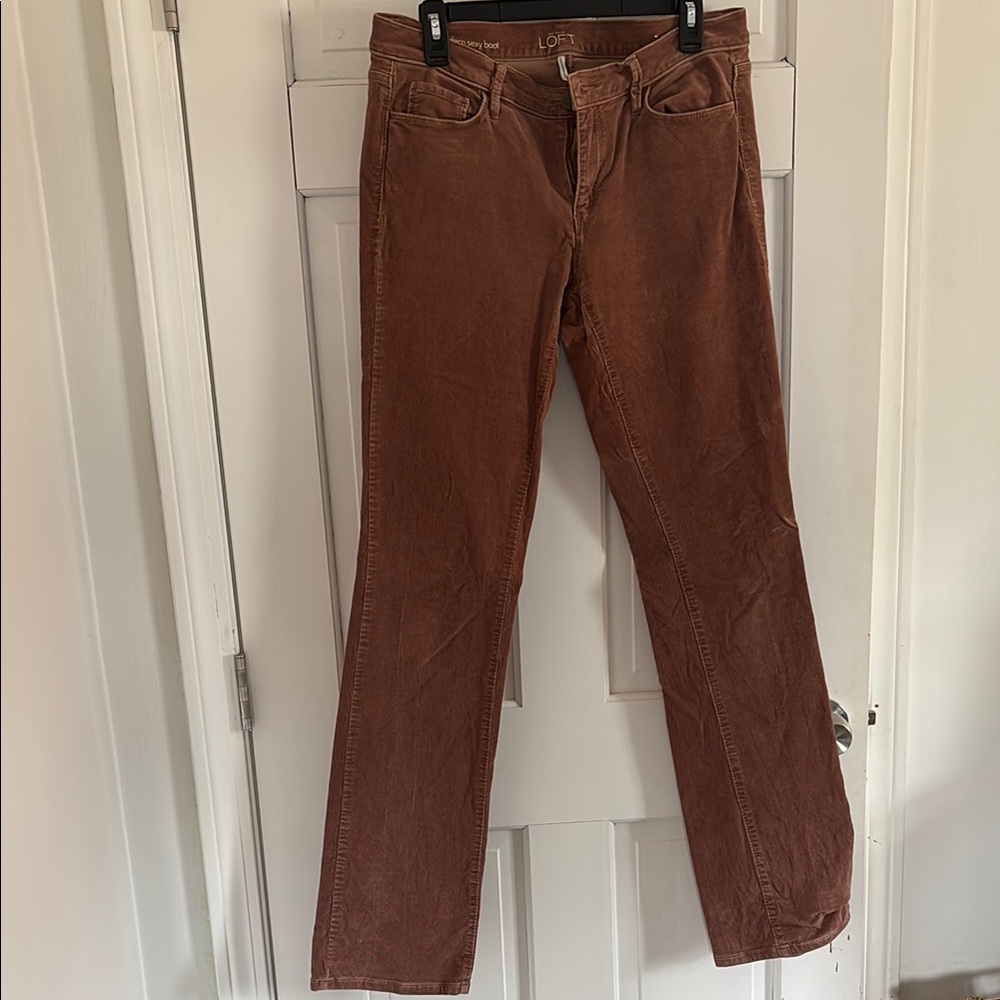 LOFT Women's Boot Cut Pants - Brown